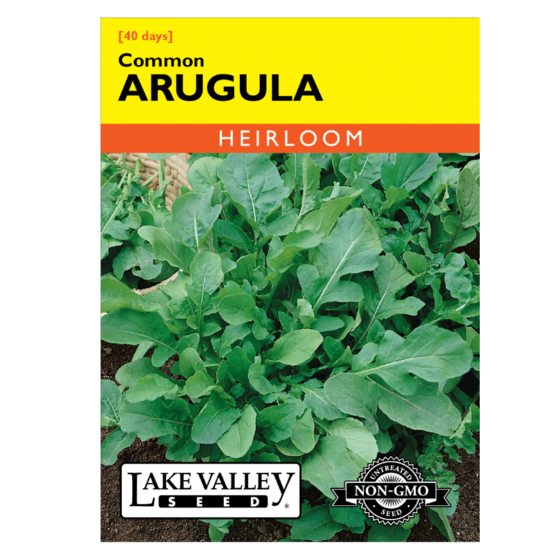 Arugula Common Heirloom