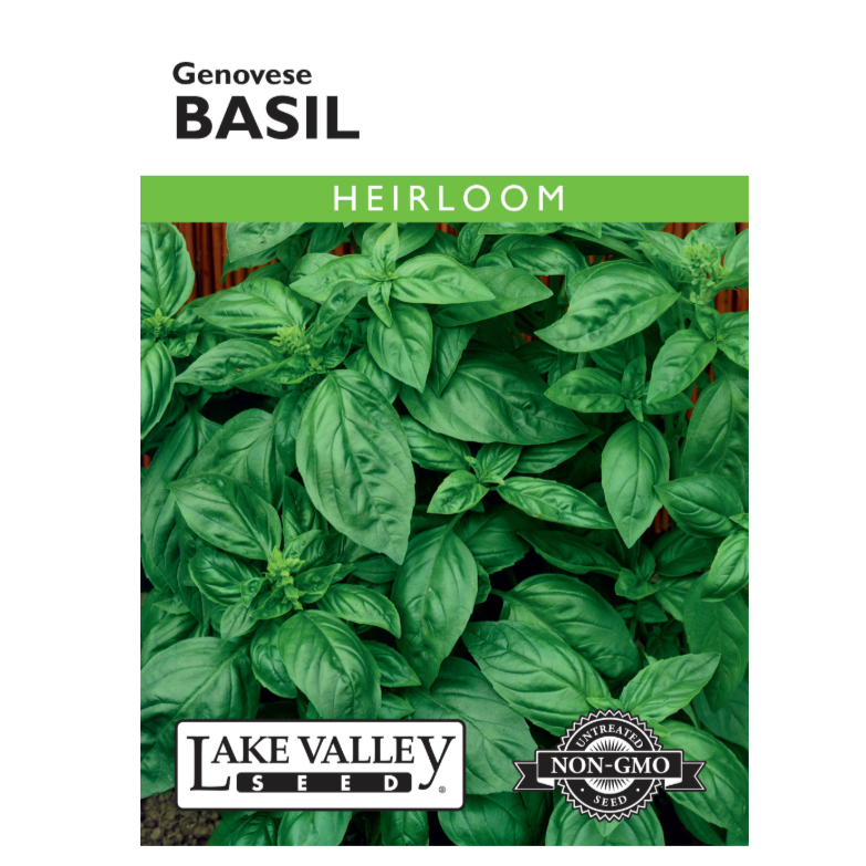 Basil Genovese Heirloom
