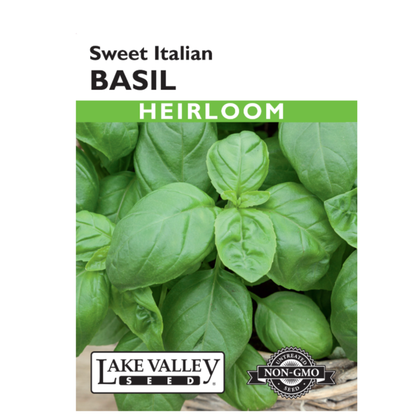 Basil Sweet Italian Heirloom