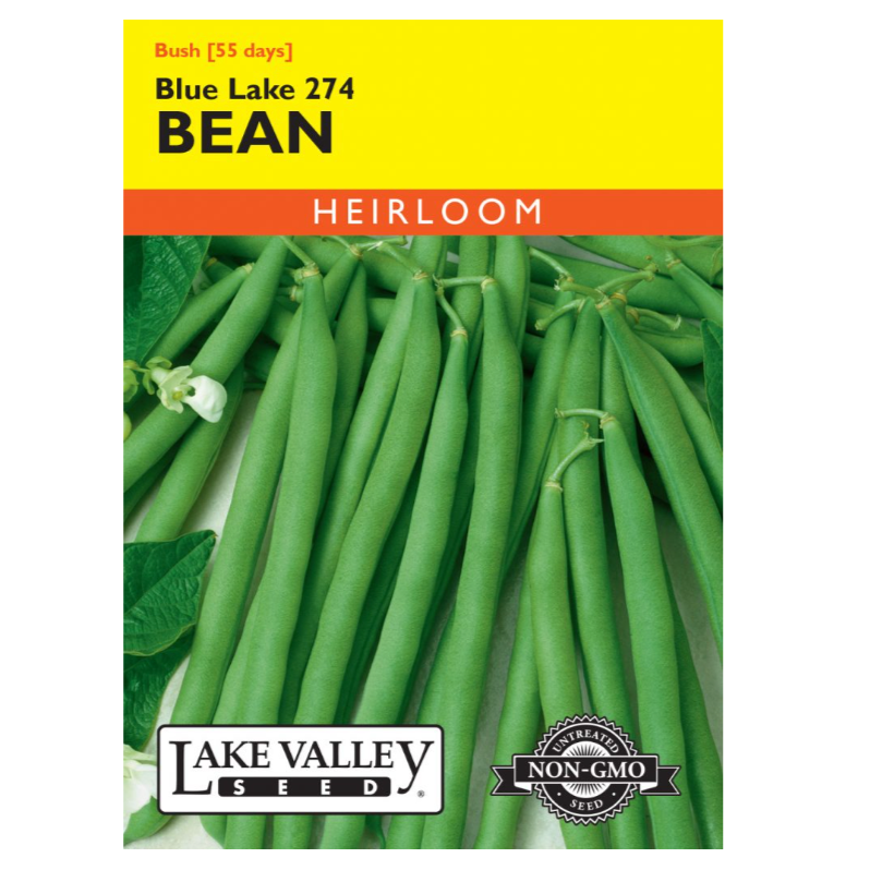 Bean Bush Blue Lake 274 Heirloom