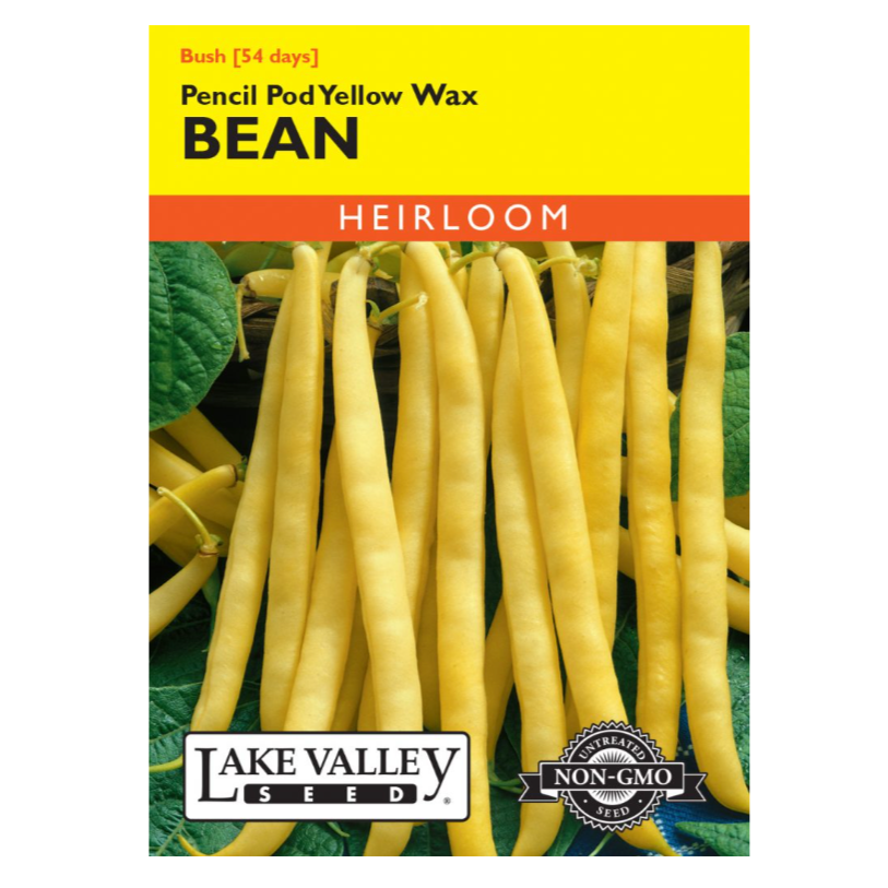 Bean Bush Pencil Pod Yellow Wax Heirloom