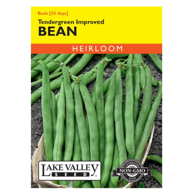 Bean Bush Tendergreen Improved Heirloom