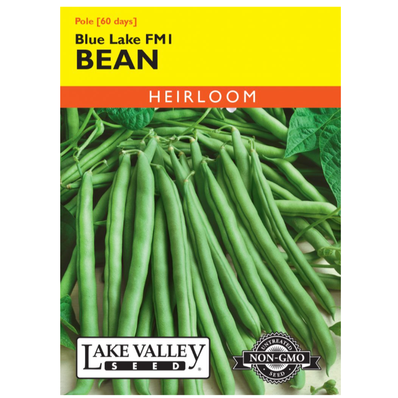 Bean Pole Blue Lake Fm1 Heirloom