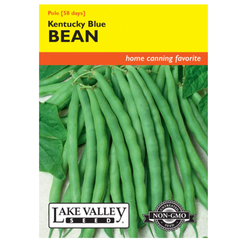 Bean Pole Kentucky Blue Heirloom