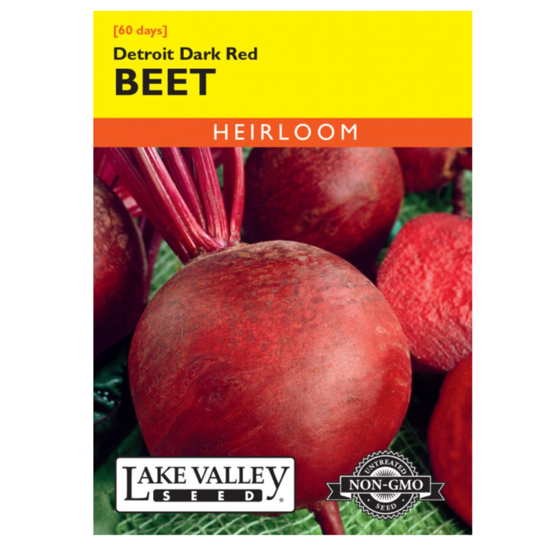 Beet Detroit Dark Red Heirloom