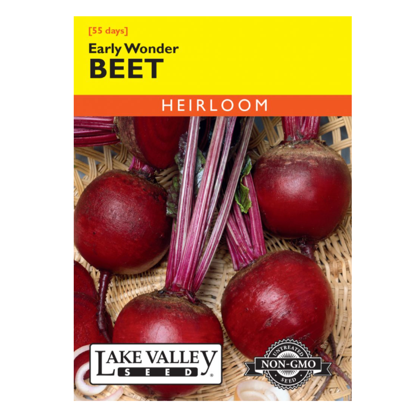 Beet Early Wonder Heirloom