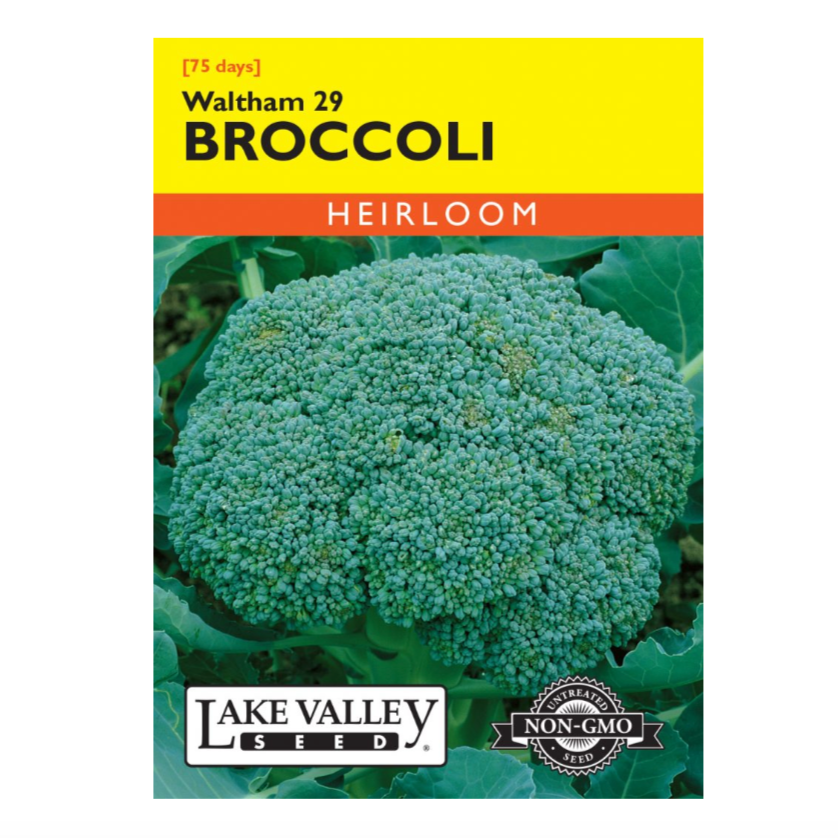 Broccoli Waltham 29 Heirloom