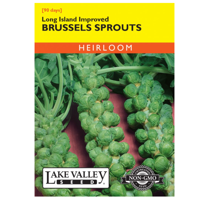 Brussels Sprouts Long Island Improved Heirloom