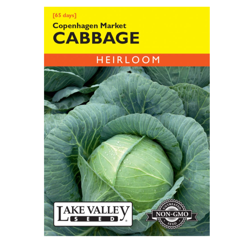 Cabbage Copenhagen Market Heirloom