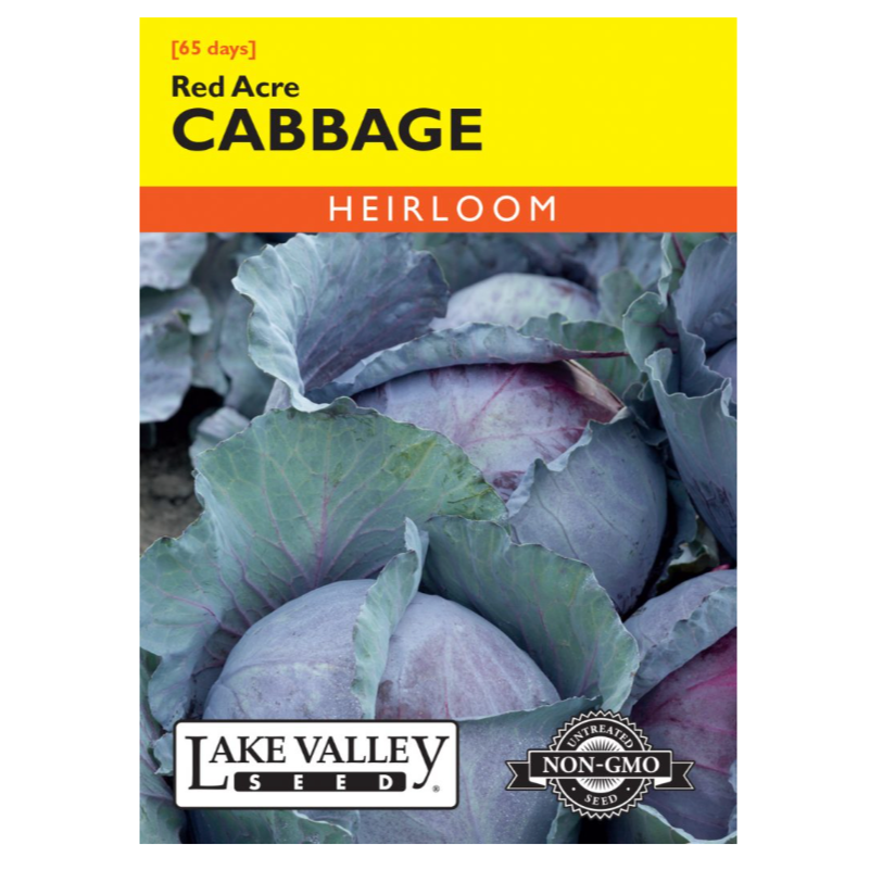 Cabbage Red Acre Heirloom