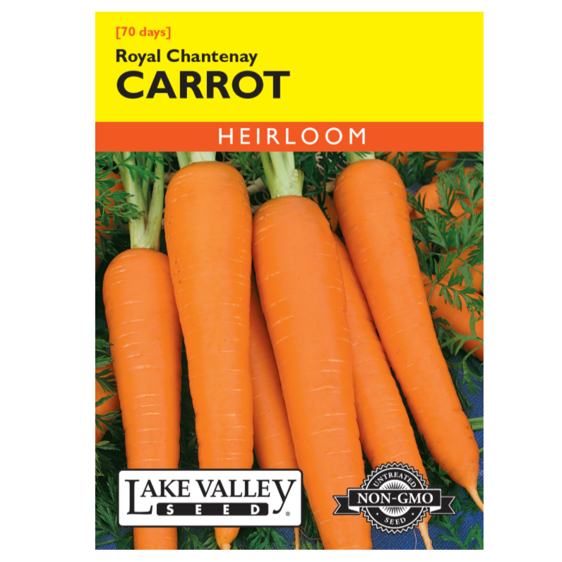 Carrot Royal Chantenay Heirloom