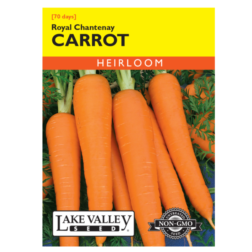 Carrot Tendersweet Heirloom