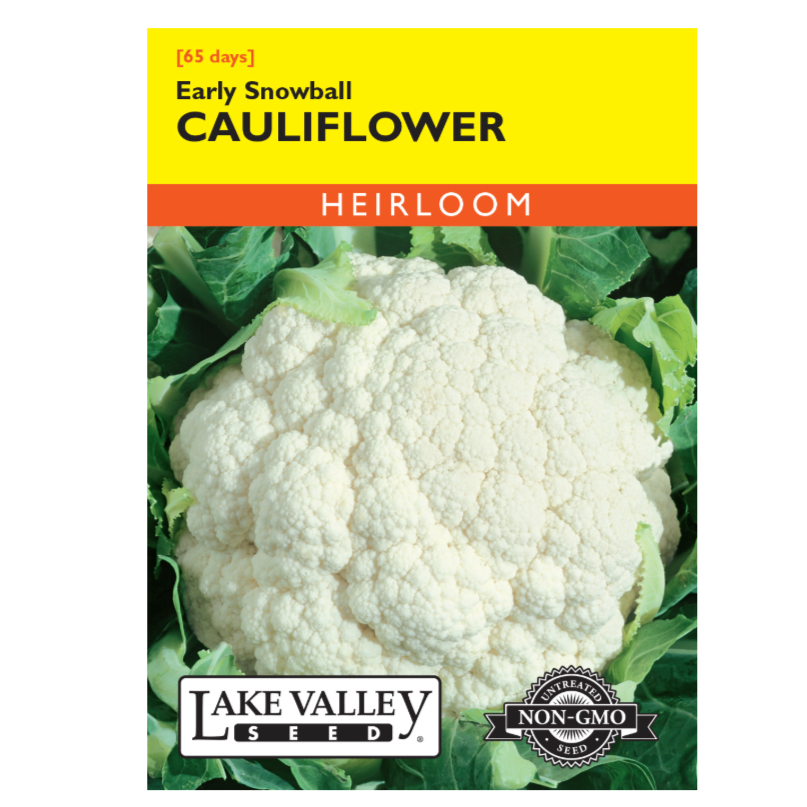 Cauliflower Early Snowball Heirloom