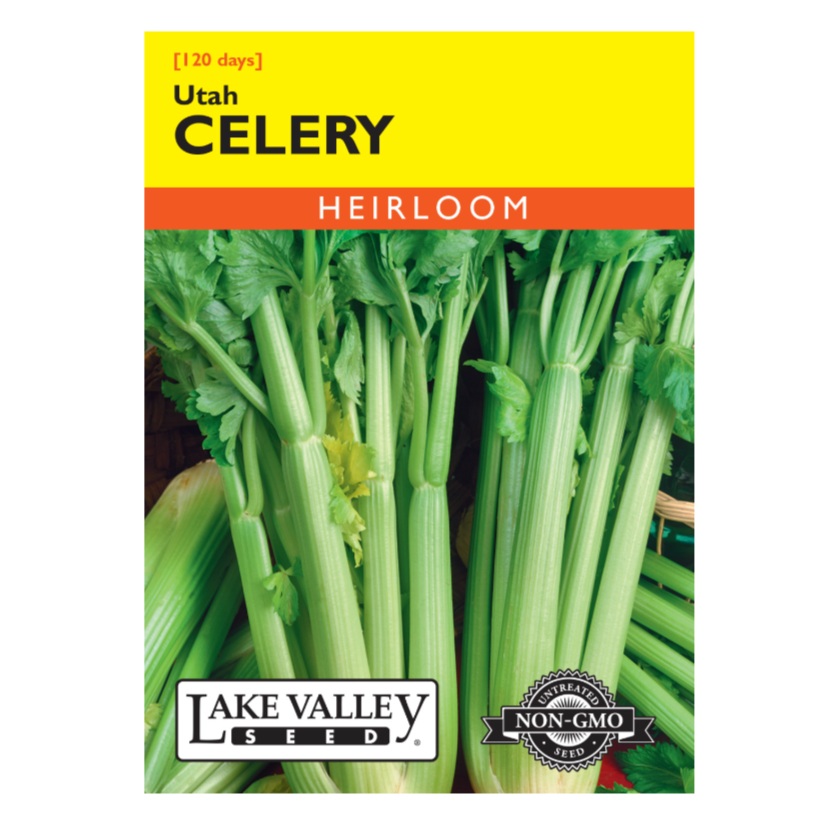 Celery Utah Heirloom