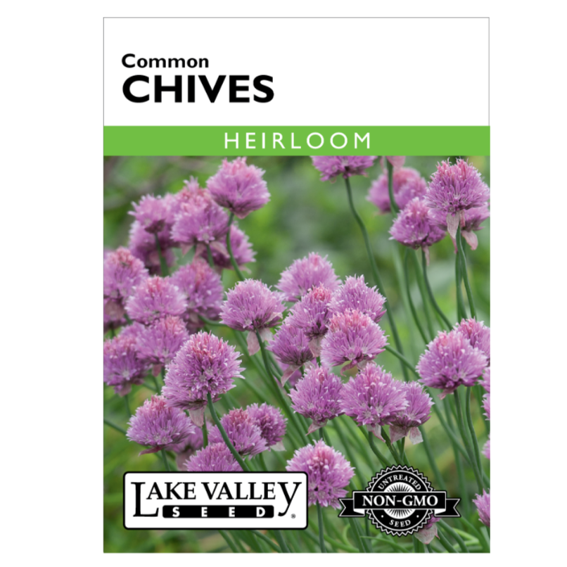 Chives Common Heirloom