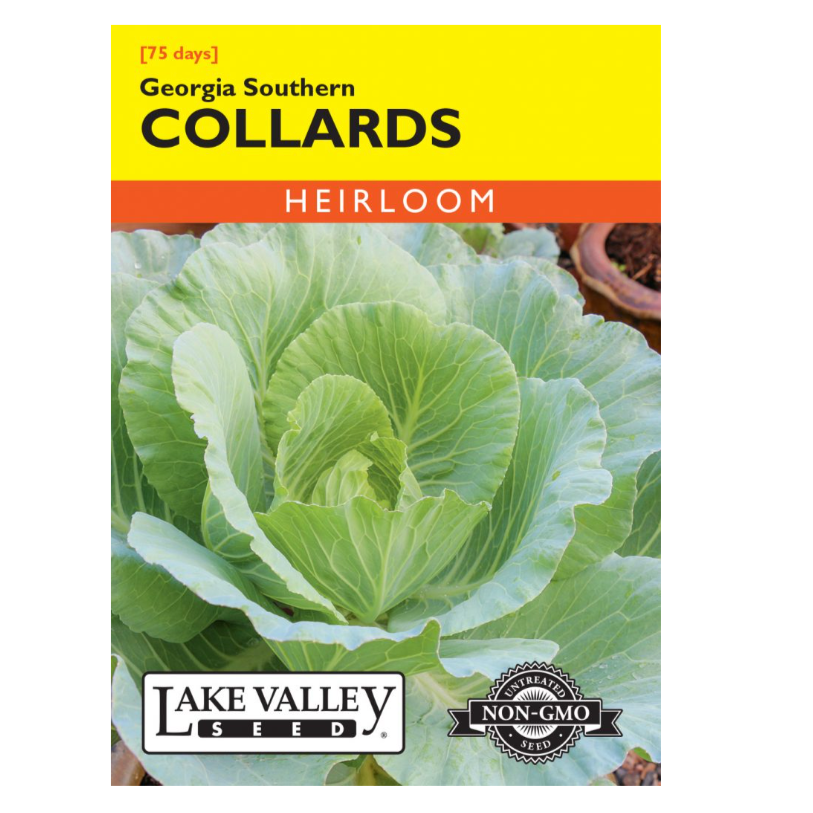 Collards Georgia Southern Heirloom