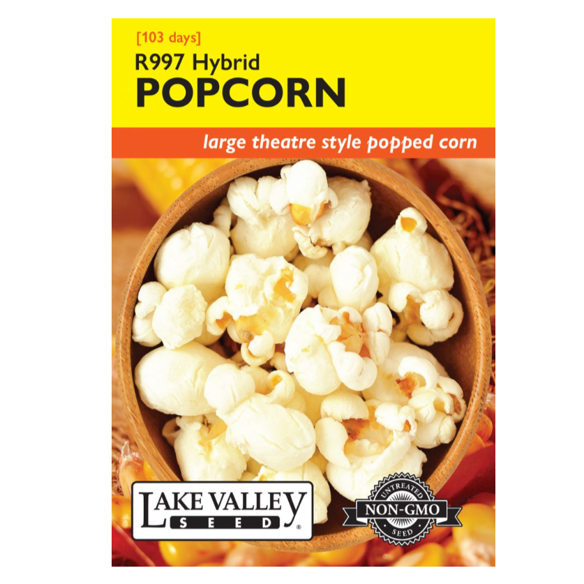 Corn Popcorn