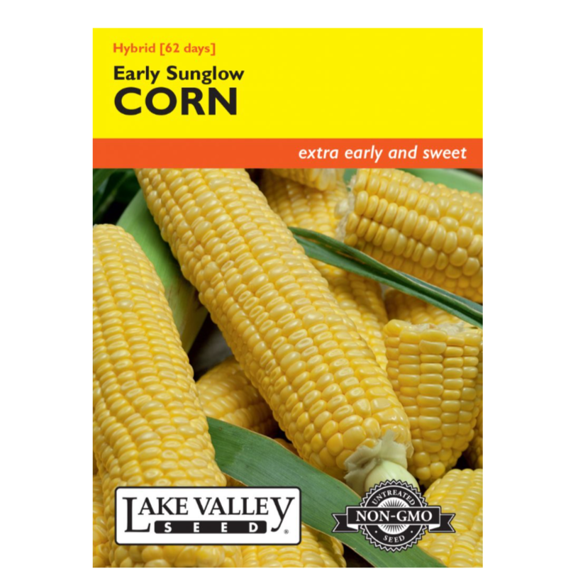 Corn Sweet Early Sunglow Hybrid