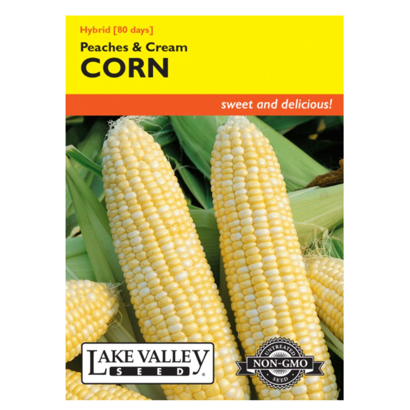 Corn Sweet Peaches & Cream Hybrid
