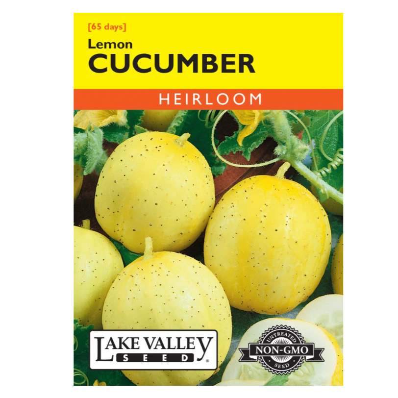 Cucumber Lemon Heirloom