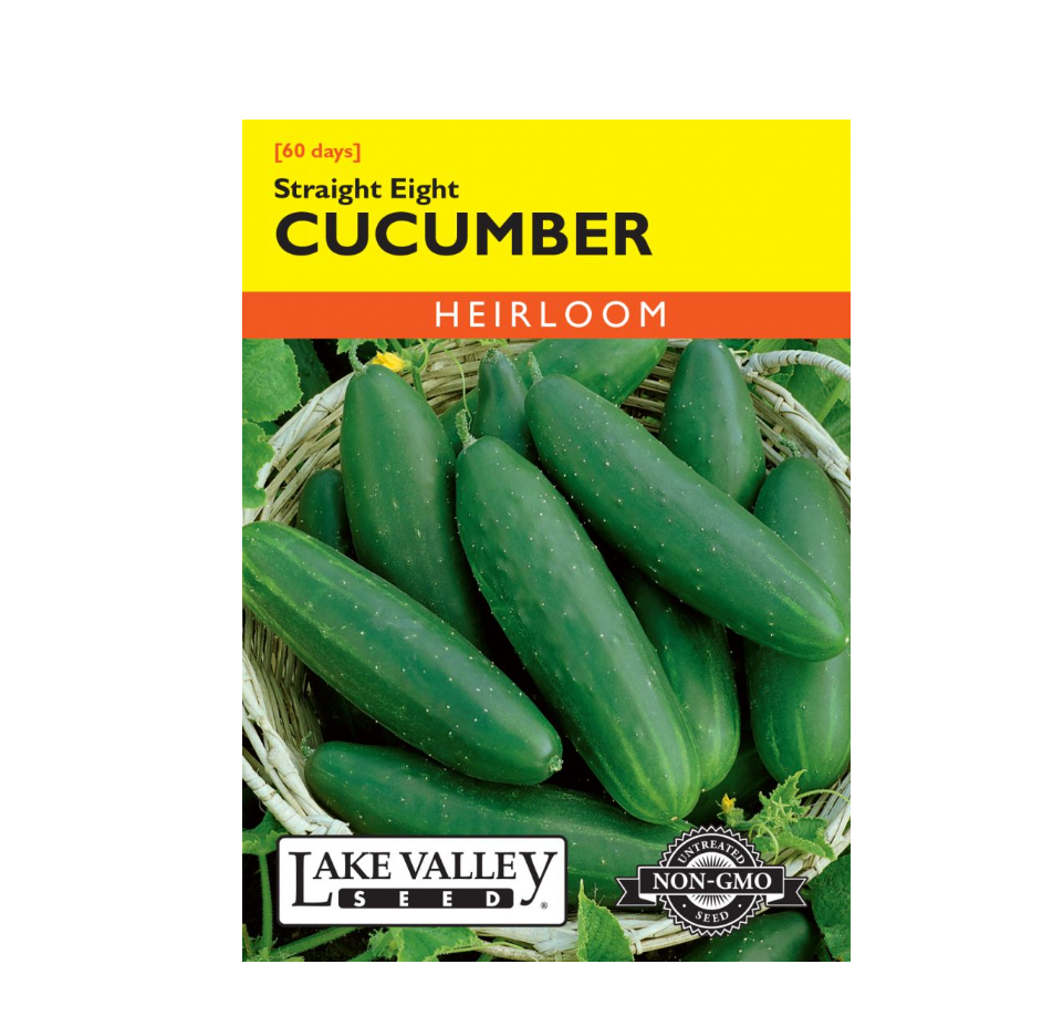 Cucumber Straight Eight Heirloom