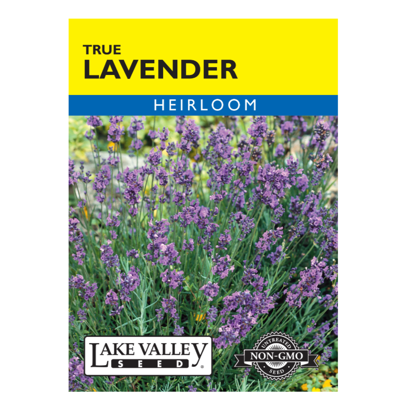 Lavender True Heirloom