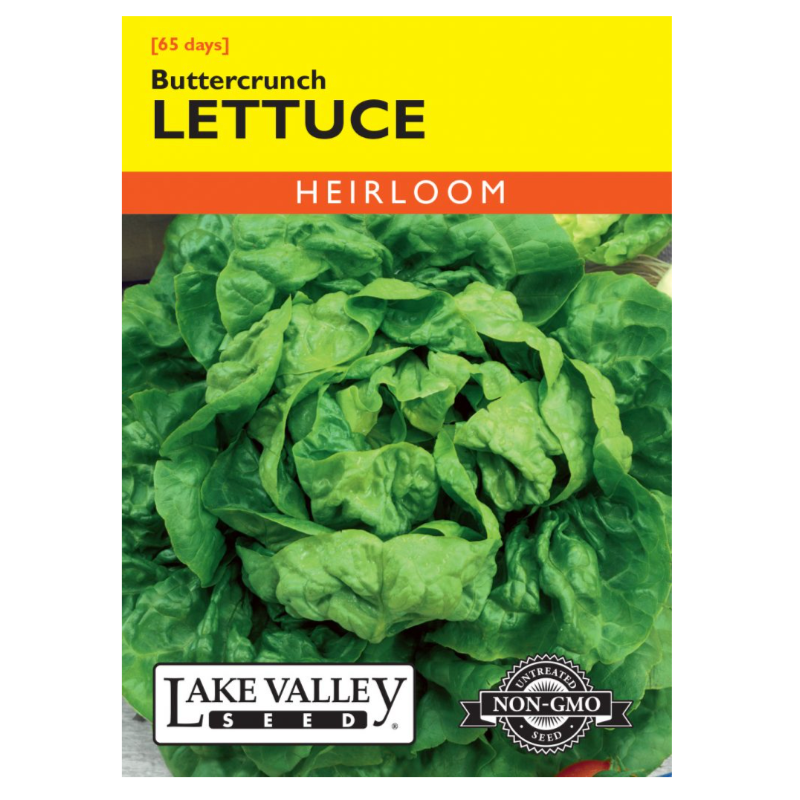Lettuce Buttercrunch Heirloom