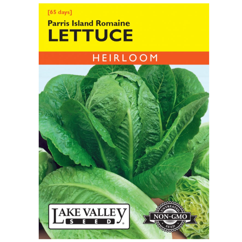 Lettuce Romaine Parris Island Heirloom