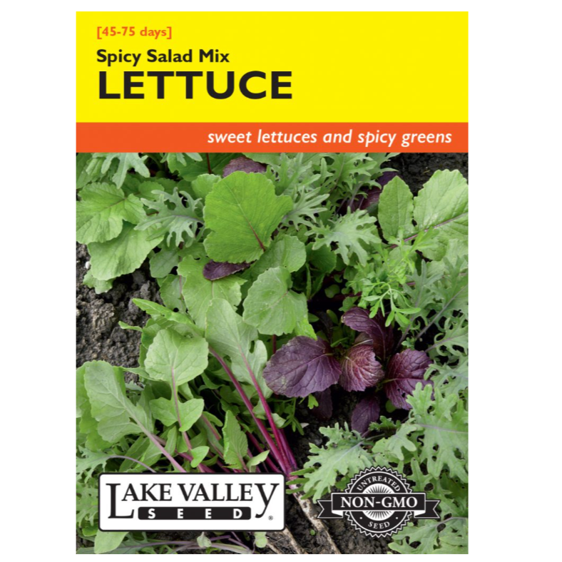 Lettuce Spicy Salad Mix