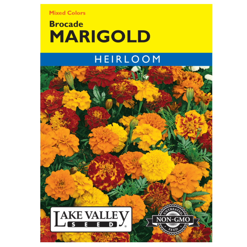 Marigold Brocade Mixed Colors Heirloom