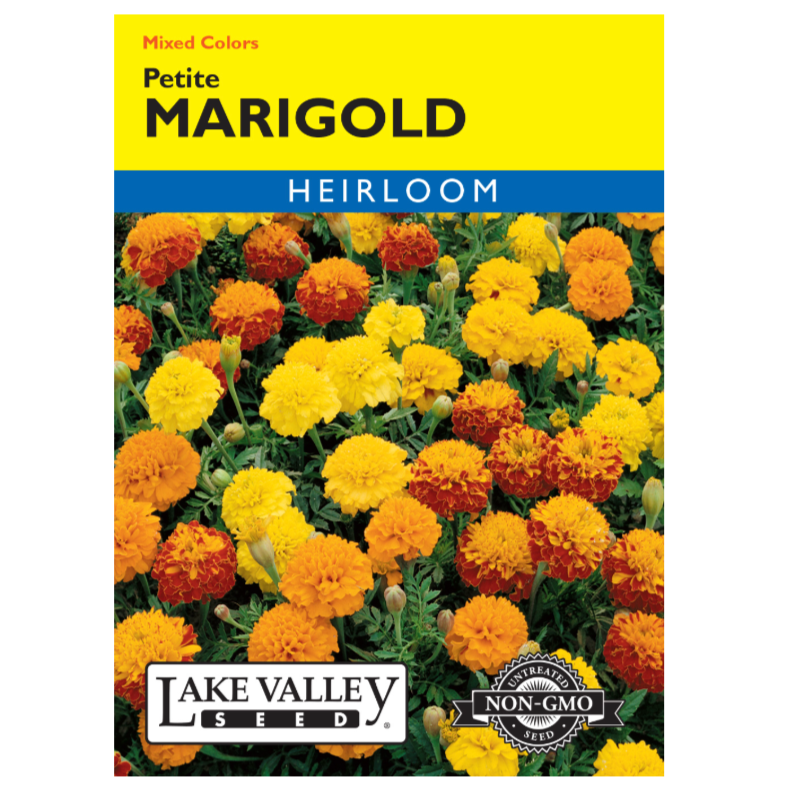 Marigold Petite Mixed Colors Heirloom