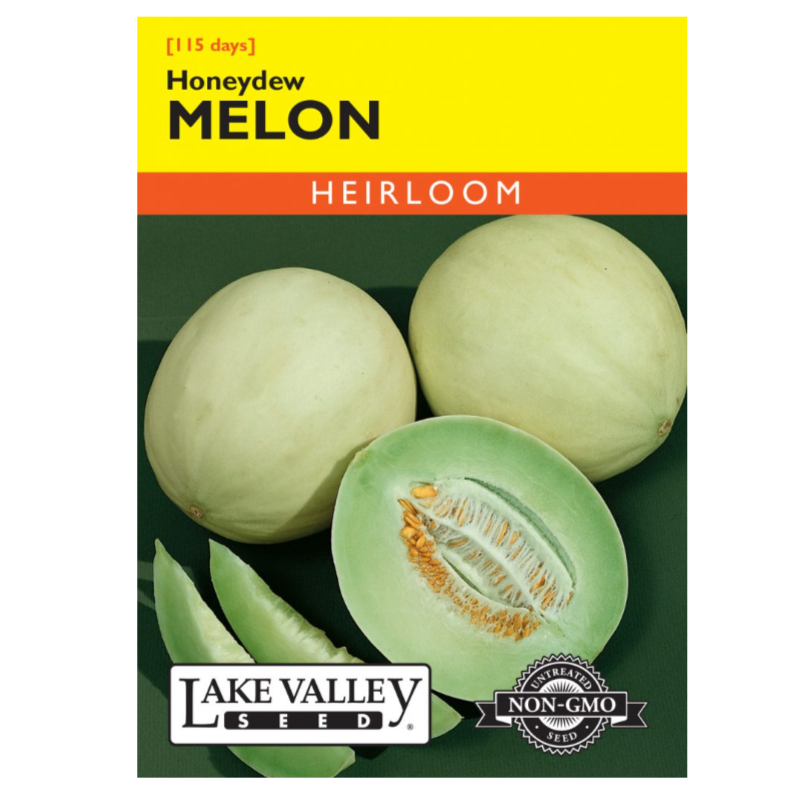 Melon Honeydew Heirloom