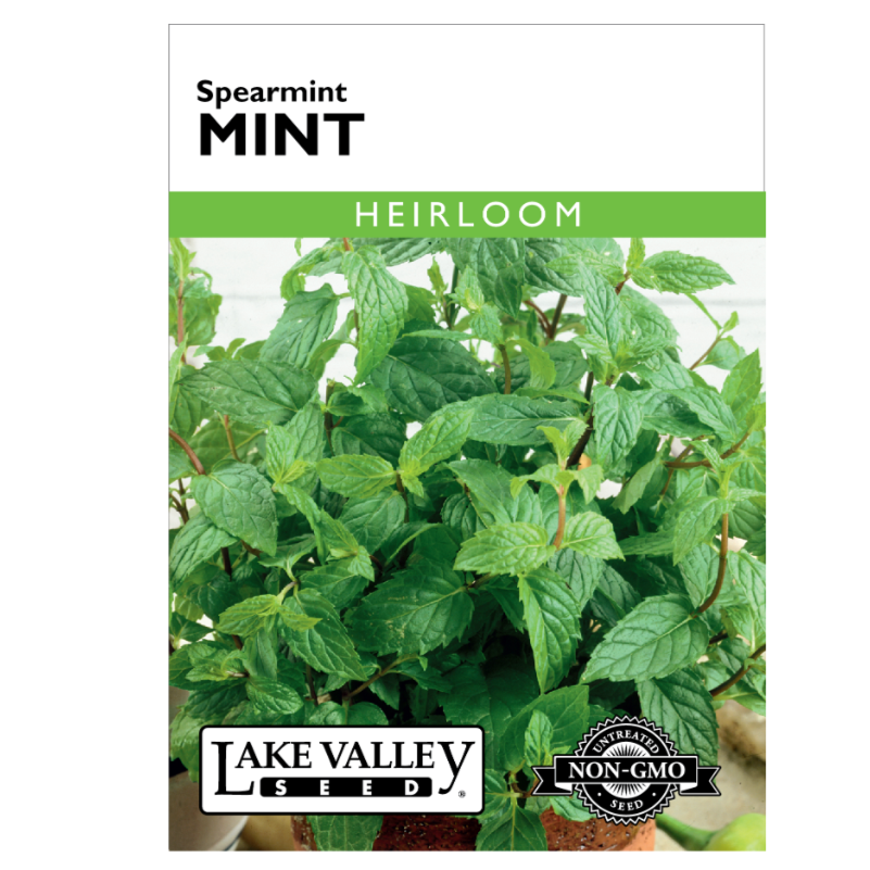 Mint Spearmint Heirloom
