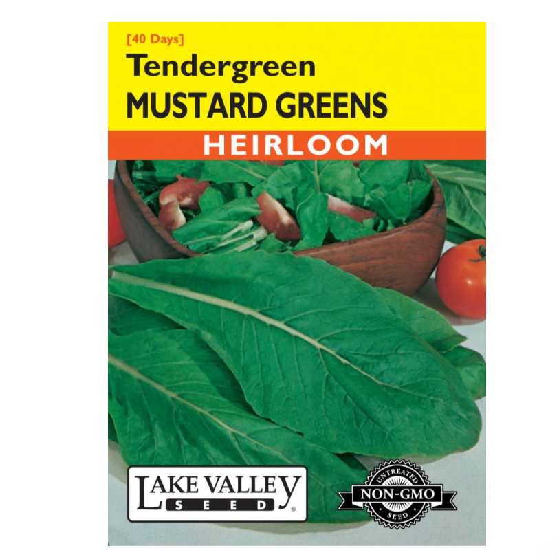 Mustard Greens Tendergreen Heirloom
