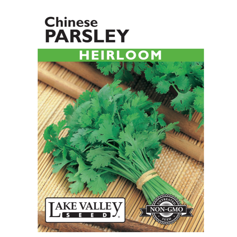 Parsley Chinese Heirloom