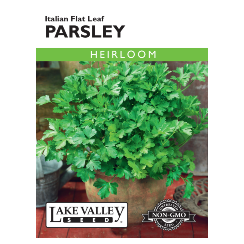 Parsley Italian Flat Leaf Heirloom
