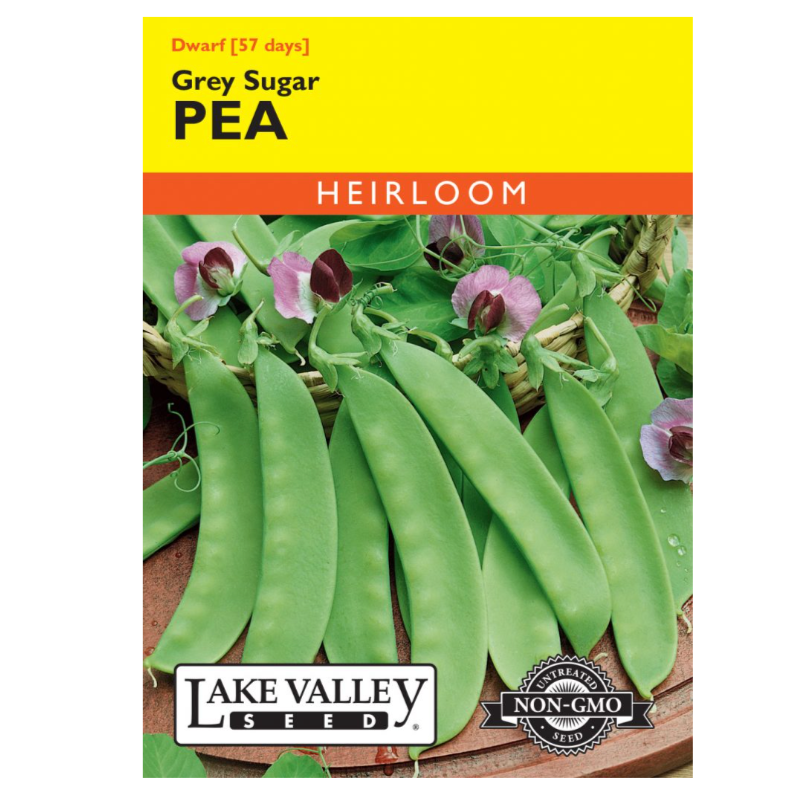 Pea Dwarf Grey Sugar Heirloom