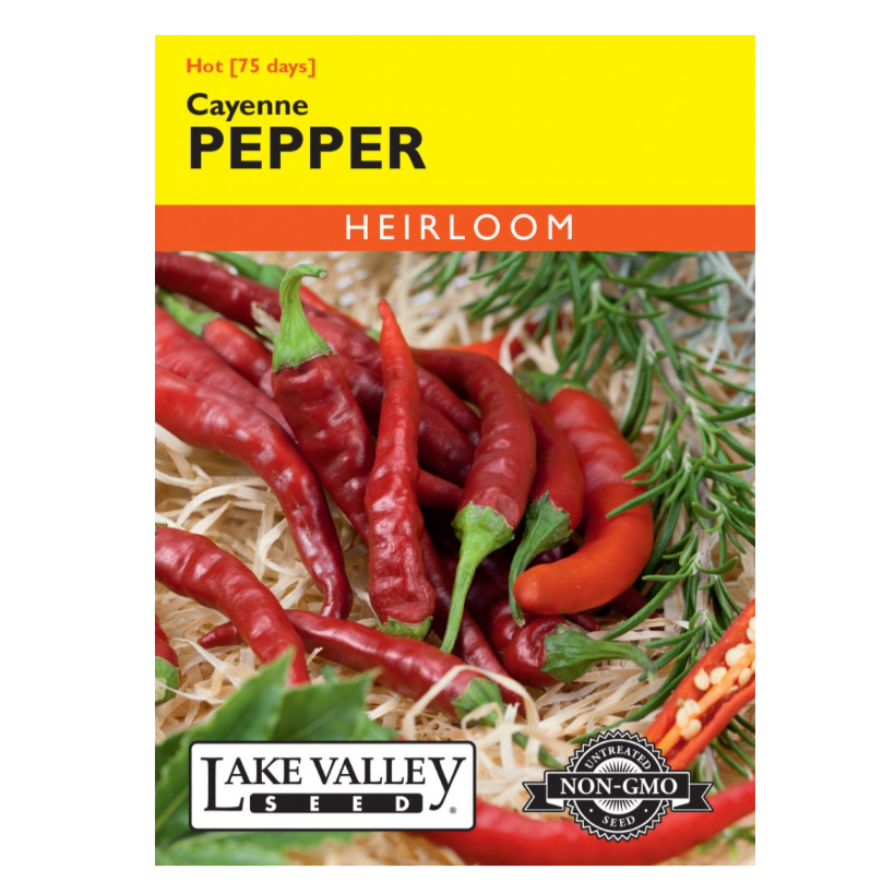 Pepper Hot Cayenne Long Red Thin Heirloom