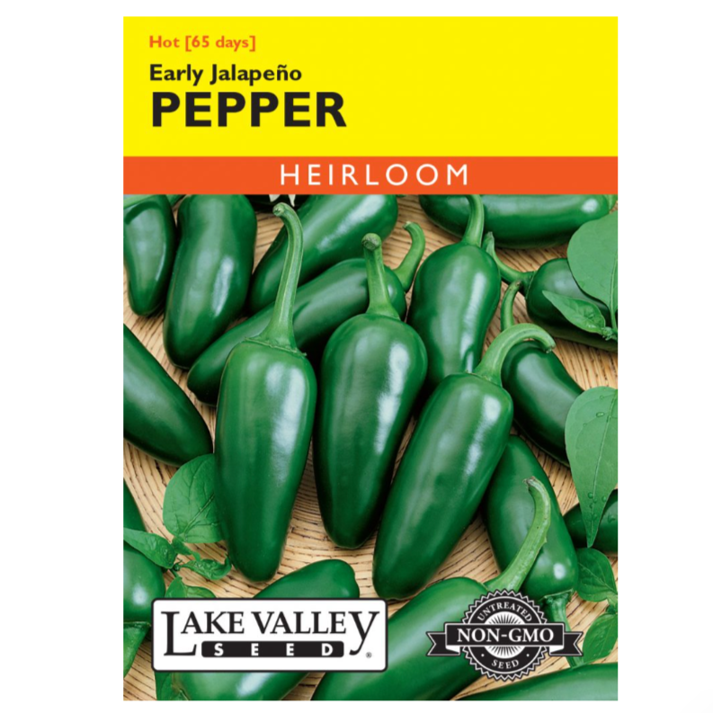 Pepper Hot Jalapeno Early Heirloom