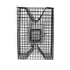 Pinfish Trap