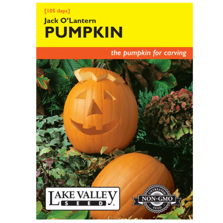 Pumpkin Jack O'lantern