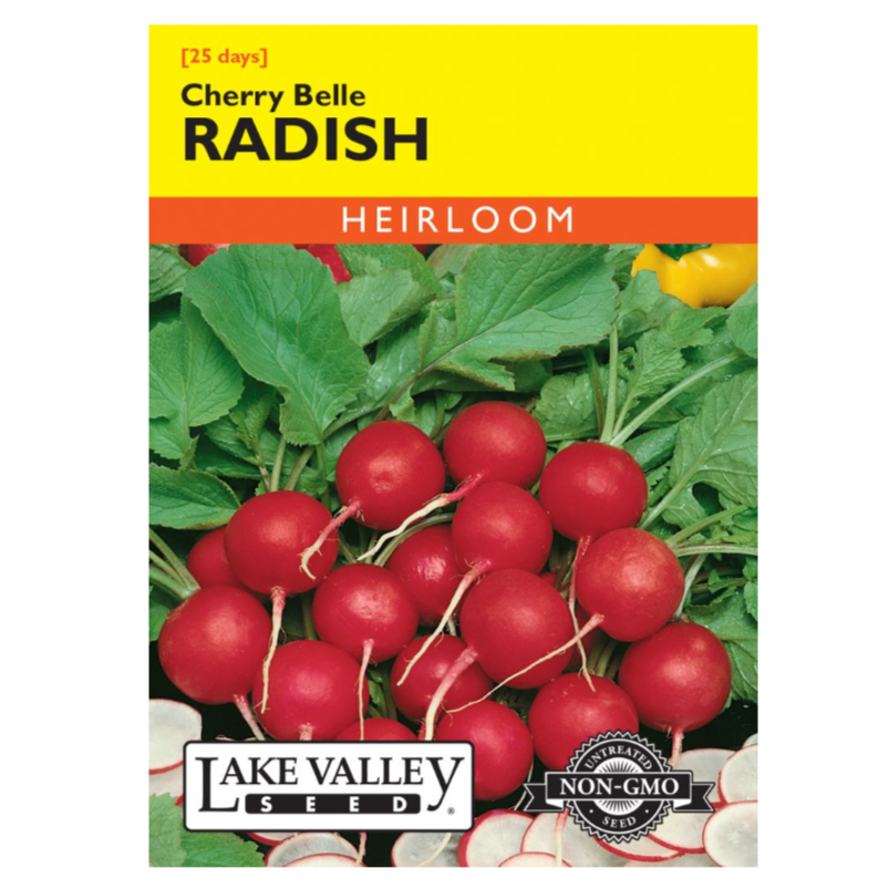 Radish Cherry Belle Heirloom