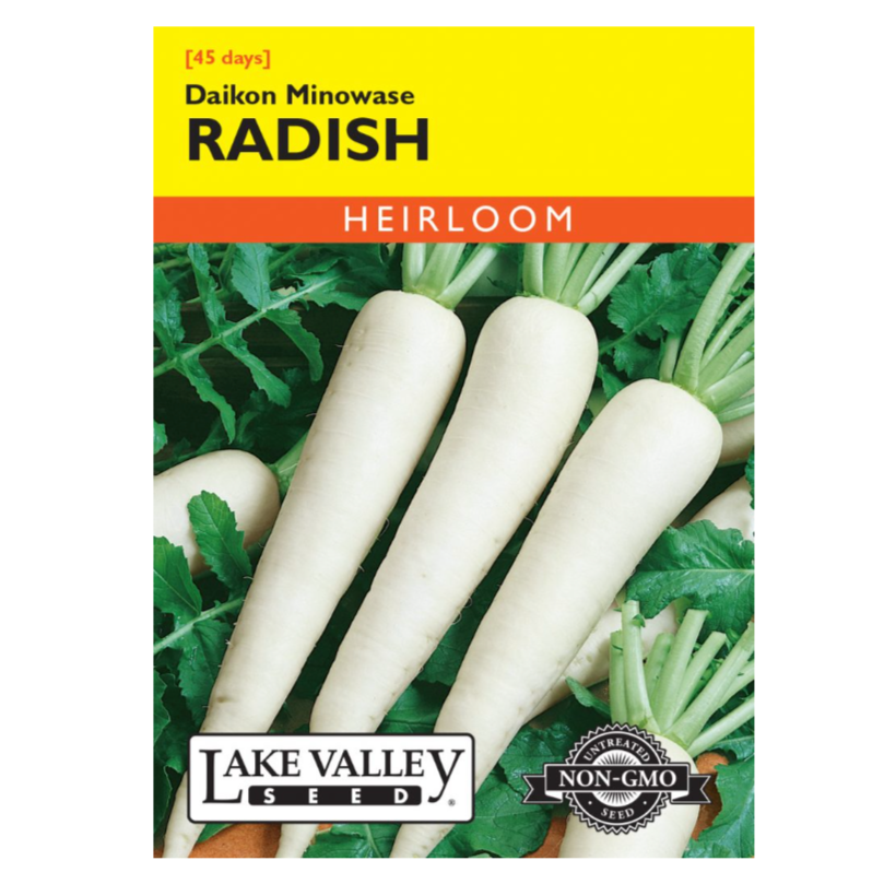 Radish Daikon Minowase Heirloom