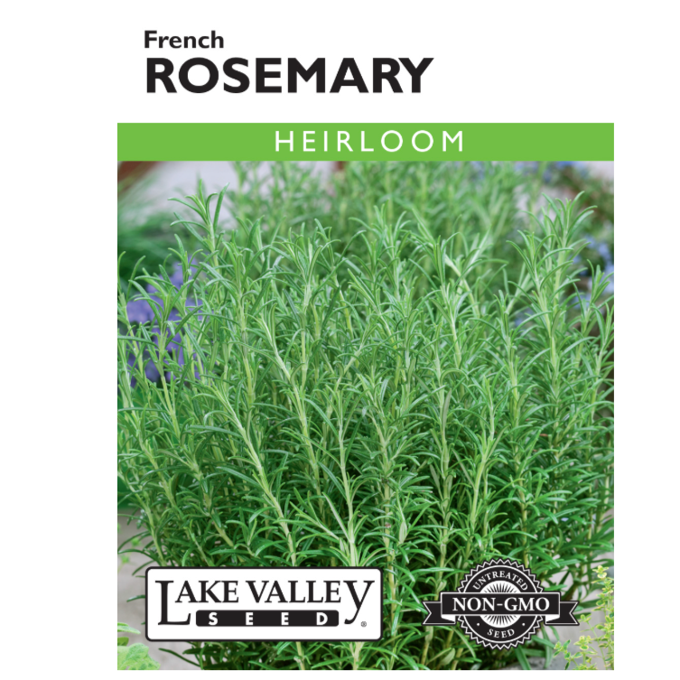 Rosemary French Heirloom