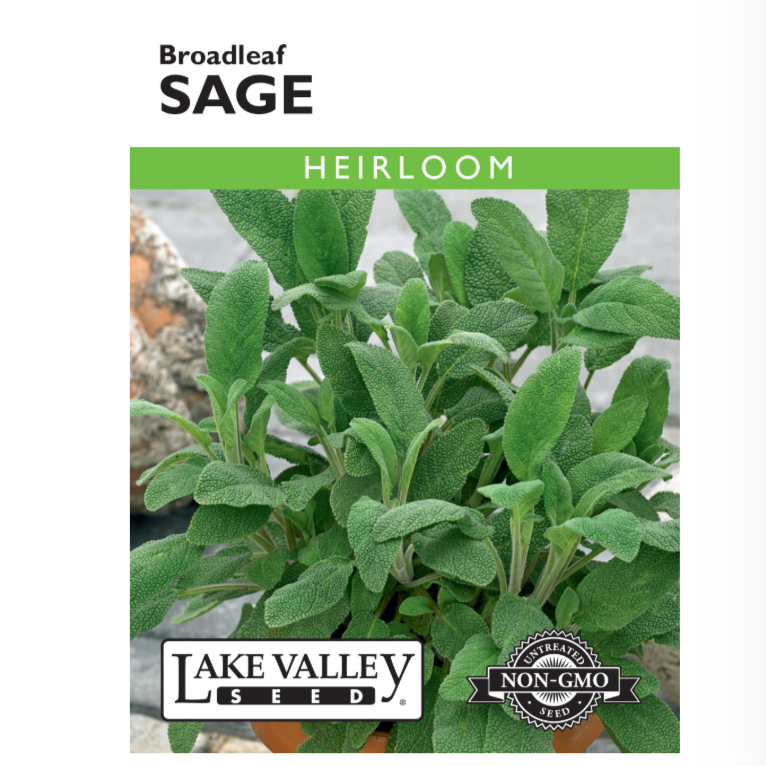 Sage Broadleaf Heirloom