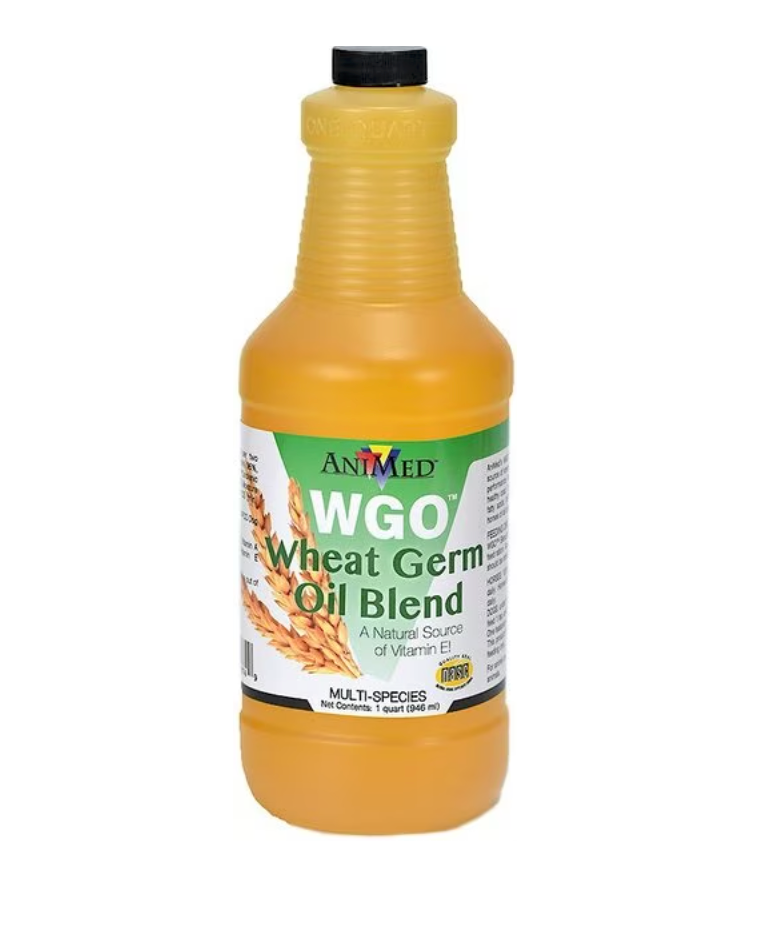 Animed Wheat Germ Oil 1 qt