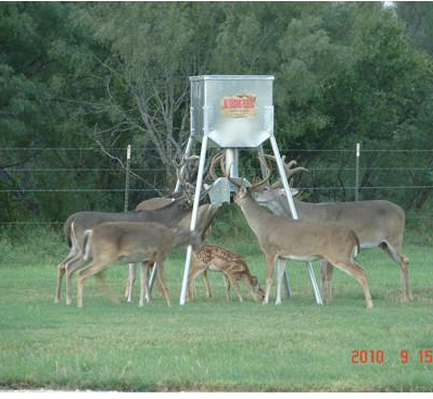 ASF Galvanized Hopper Feeder (300 lb. Protein Capacity)