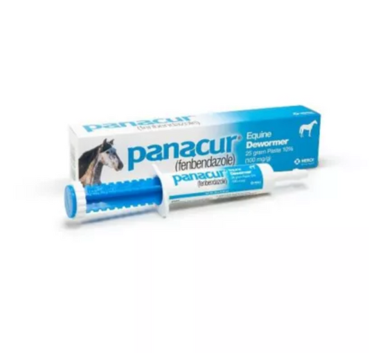 Panacur Equine Dewormer Paste, 10%, 25g