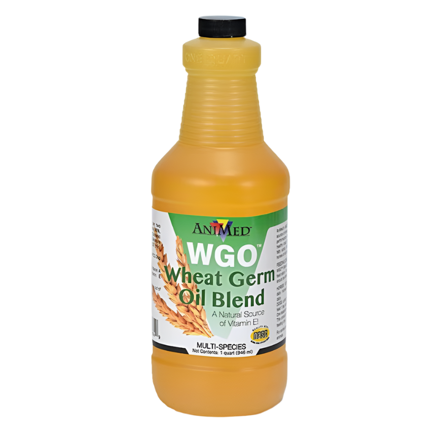 AniMed WGO Wheat Germ Oil Blend Horse Supplement, 1-qt bottle