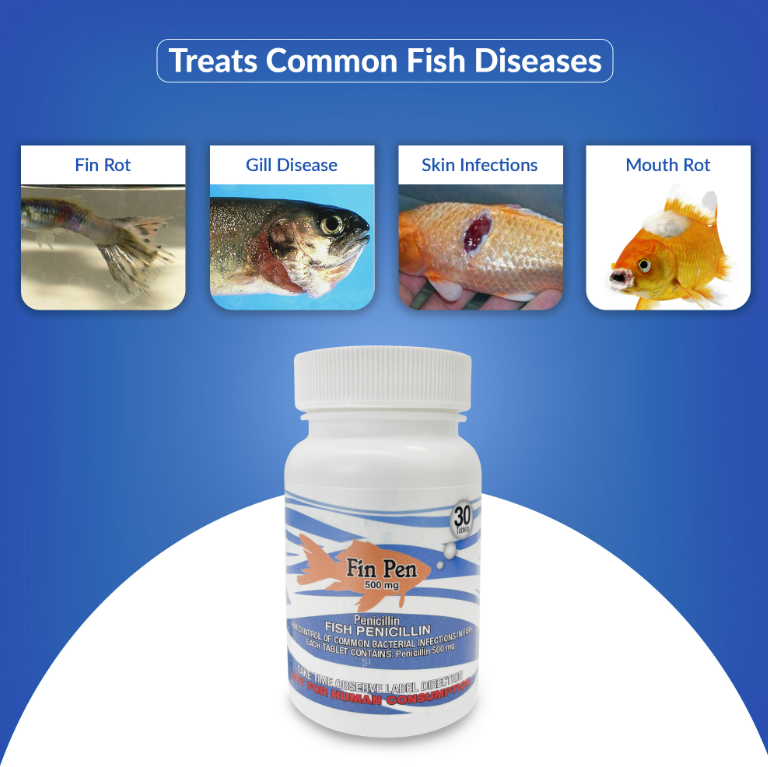 Fish medicine bottle labeled 'Fin Pen' with images of fish diseases on a blue background